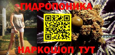 прущие крисы Пугачёв