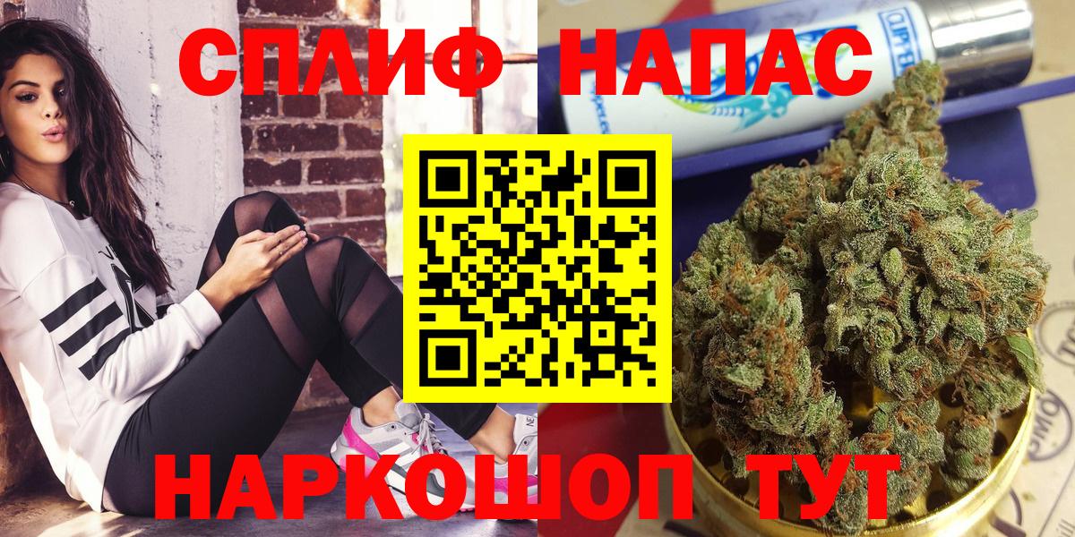 Шишки марихуана конопля Пугачёв